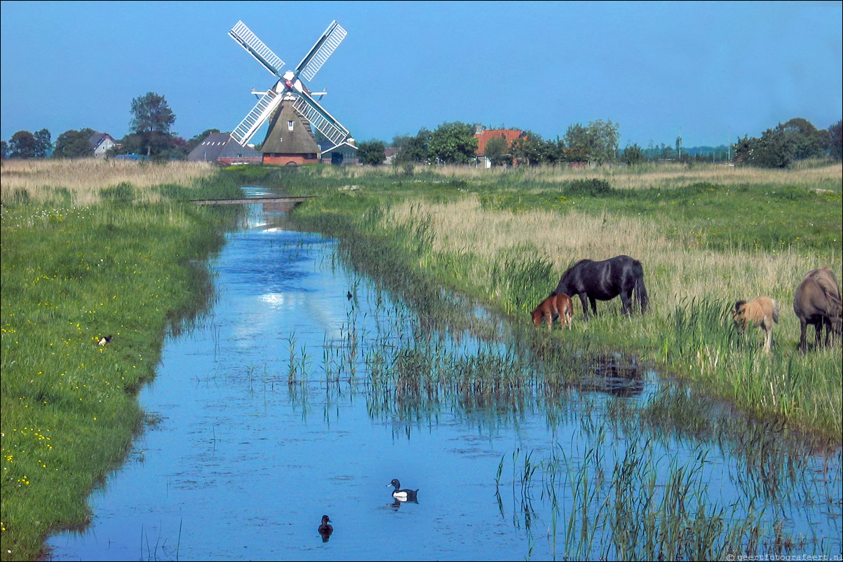 groningse ommelanden